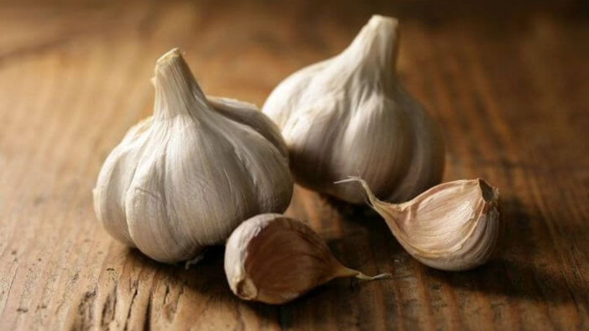 perquè es repeteix l'all o la ceba